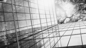 Sun shining through trees on office building